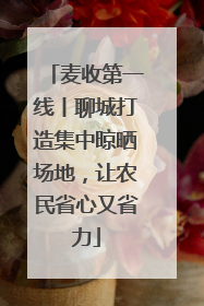 麦收第一线丨聊城打造集中晾晒场地，让农民省心又省力