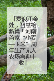 麦浪涌金处，智慧绘新篇！河南首家“小麦—玉米”周年生产无人农场喜迎丰收