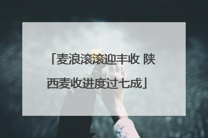 麦浪滚滚迎丰收 陕西麦收进度过七成