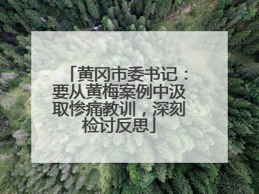 黄冈市委书记：要从黄梅案例中汲取惨痛教训，深刻检讨反思