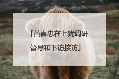 黄喜忠在上犹调研督导和下访接访