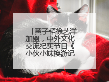 黄子韬徐艺洋加盟，中外文化交流纪实节目《小伙小妹换游记》六月上线