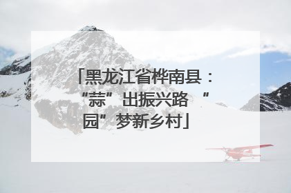 黑龙江省桦南县：“蒜”出振兴路 “园”梦新乡村