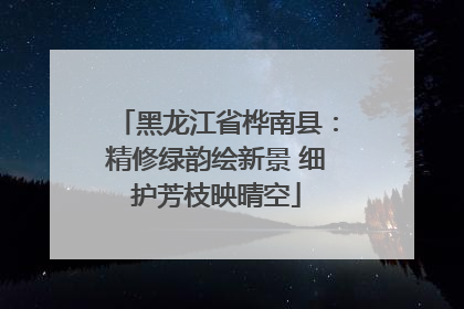 黑龙江省桦南县：精修绿韵绘新景 细护芳枝映晴空
