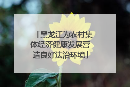 黑龙江为农村集体经济健康发展营造良好法治环境