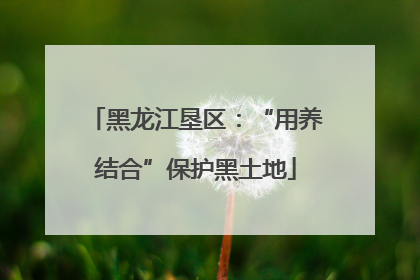 黑龙江垦区：“用养结合”保护黑土地