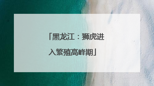 黑龙江：狮虎进入繁殖高峰期