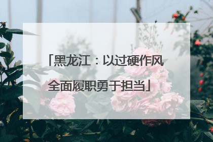 黑龙江：以过硬作风全面履职勇于担当