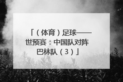 （体育）足球——世预赛：中国队对阵巴林队（3）