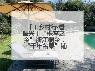 （乡村行·看振兴）“槜李之乡”浙江桐乡：“千年名果”铺就乡村共富路