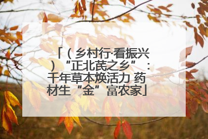 （乡村行·看振兴）“正北芪之乡”：千年草本焕活力 药材生“金”富农家