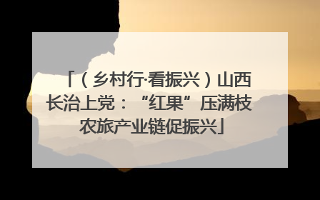 （乡村行·看振兴）山西长治上党：“红果”压满枝 农旅产业链促振兴