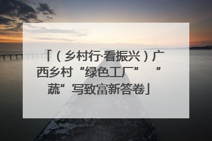 （乡村行·看振兴）广西乡村“绿色工厂” “蔬”写致富新答卷