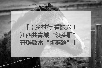 （乡村行·看振兴）江西共青城“领头雁”开辟致富“新稻路”