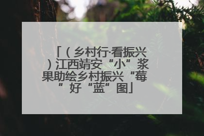 （乡村行·看振兴）江西靖安“小”浆果助绘乡村振兴“莓”好“蓝”图