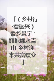 （乡村行·看振兴）畲乡景宁：拥抱绿水青山 乡村迎来共富蝶变