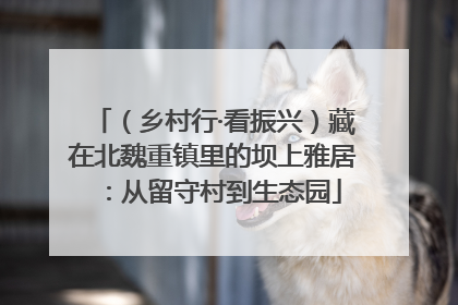 （乡村行·看振兴）藏在北魏重镇里的坝上雅居：从留守村到生态园