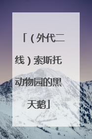 （外代二线）索斯托动物园的黑天鹅