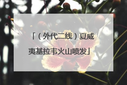 （外代二线）夏威夷基拉韦火山喷发
