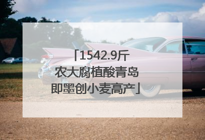 1542.9斤 农大腐植酸青岛即墨创小麦高产