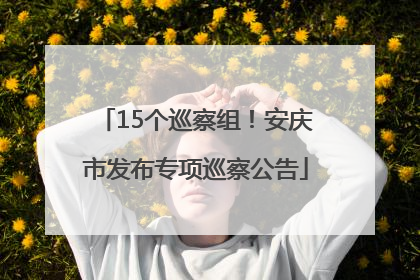 15个巡察组！安庆市发布专项巡察公告