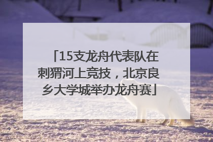 15支龙舟代表队在刺猬河上竞技，北京良乡大学城举办龙舟赛