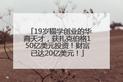 19岁辍学创业的华裔天才，获扎克伯格150亿美元投资！财富已达20亿美元！