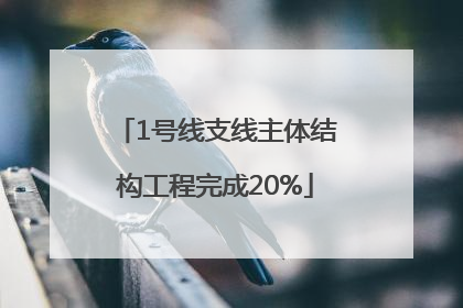 1号线支线主体结构工程完成20%