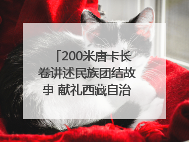 200米唐卡长卷讲述民族团结故事 献礼西藏自治区成立60周年