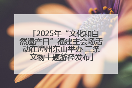 2025年“文化和自然遗产日”福建主会场活动在漳州东山举办 三条文物主题游径发布