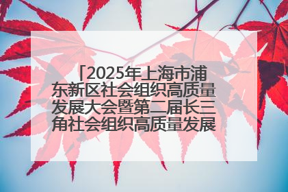 2025年上海市浦东新区社会组织高质量发展大会暨第二届长三角社会组织高质量发展峰会成功举办