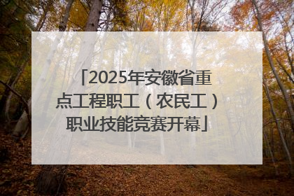 2025年安徽省重点工程职工（农民工）职业技能竞赛开幕