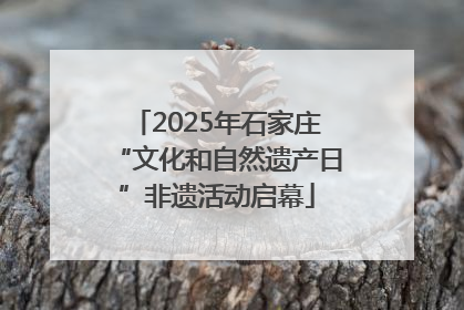 2025年石家庄“文化和自然遗产日”非遗活动启幕