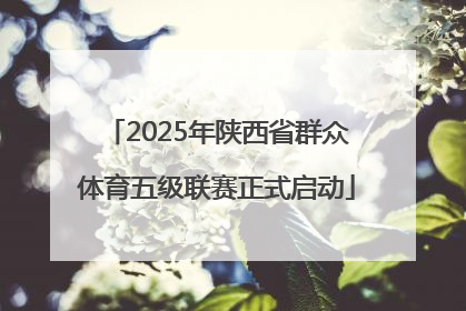 2025年陕西省群众体育五级联赛正式启动