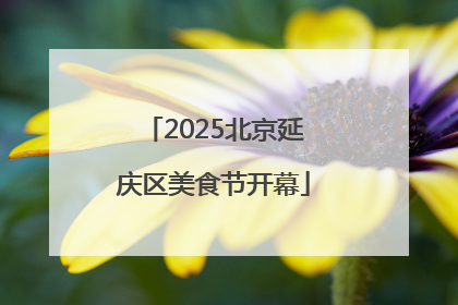 2025北京延庆区美食节开幕
