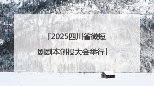 2025四川省微短剧剧本创投大会举行