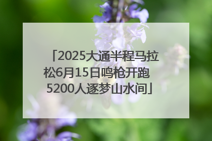 2025大通半程马拉松6月15日鸣枪开跑 5200人逐梦山水间
