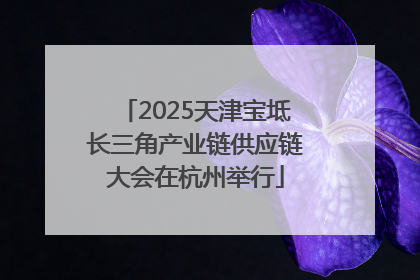 2025天津宝坻长三角产业链供应链大会在杭州举行