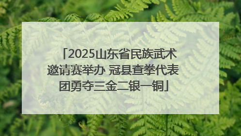 2025山东省民族武术邀请赛举办 冠县查拳代表团勇夺三金二银一铜