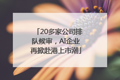 20多家公司排队候审，AI企业再掀赴港上市潮