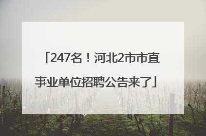 247名！河北2市市直事业单位招聘公告来了