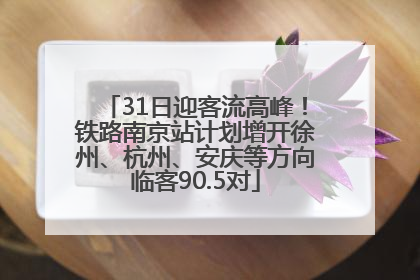 31日迎客流高峰！铁路南京站计划增开徐州、杭州、安庆等方向临客90.5对