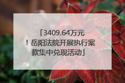 3409.64万元！岳阳法院开展执行案款集中兑现活动