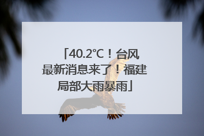 40.2℃！台风最新消息来了！福建局部大雨暴雨