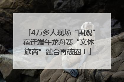 4万多人现场“围观” 宿迁端午龙舟赛“文体旅商”融合再破圈！