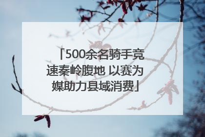 500余名骑手竞速秦岭腹地 以赛为媒助力县域消费