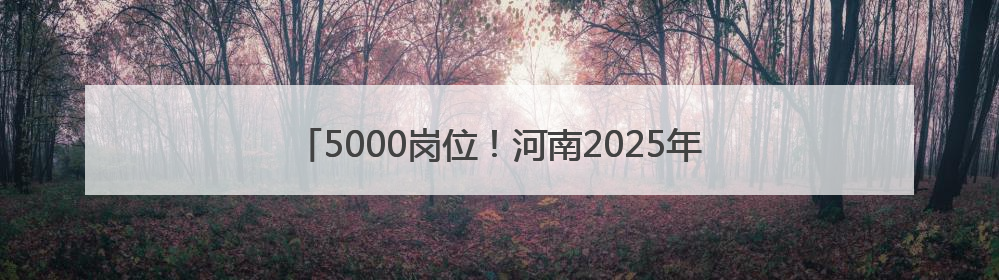 5000岗位！河南2025年乡村振兴协理员招用计划发布