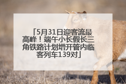 5月31日迎客流最高峰！端午小长假长三角铁路计划增开管内临客列车139对