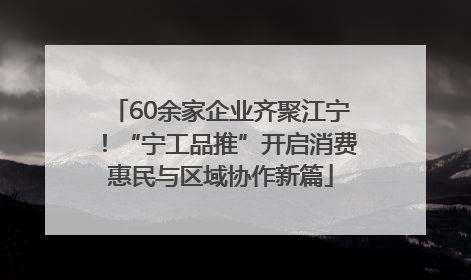 60余家企业齐聚江宁！“宁工品推”开启消费惠民与区域协作新篇