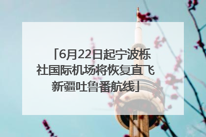 6月22日起宁波栎社国际机场将恢复直飞新疆吐鲁番航线